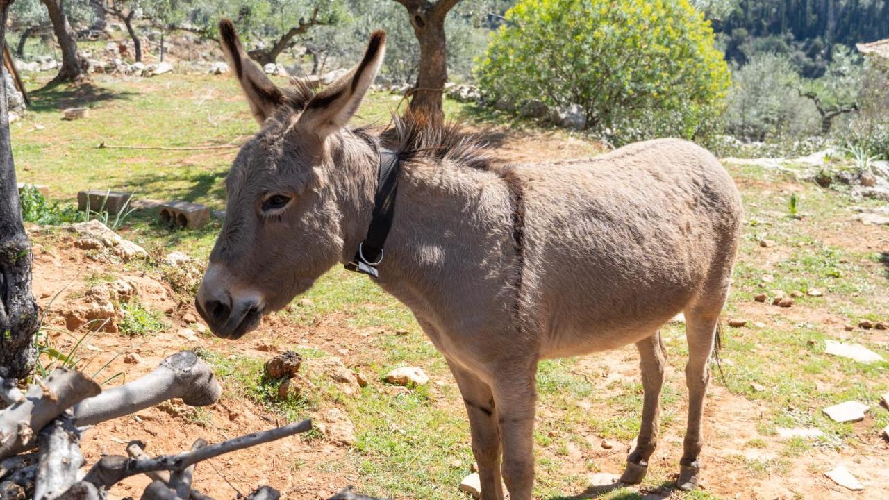 Appartamento Trisilio Kardhamili Esterno foto