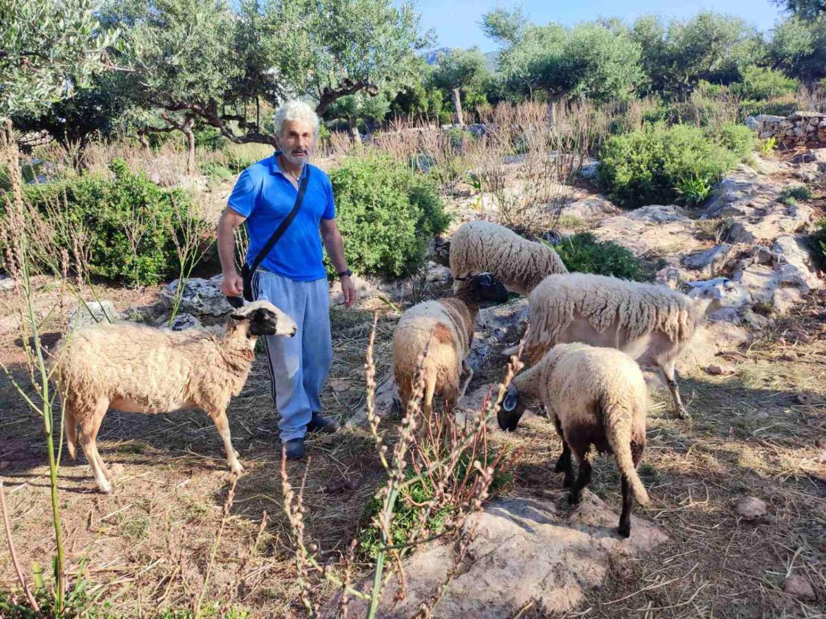 Appartamento Trisilio Kardhamili Esterno foto