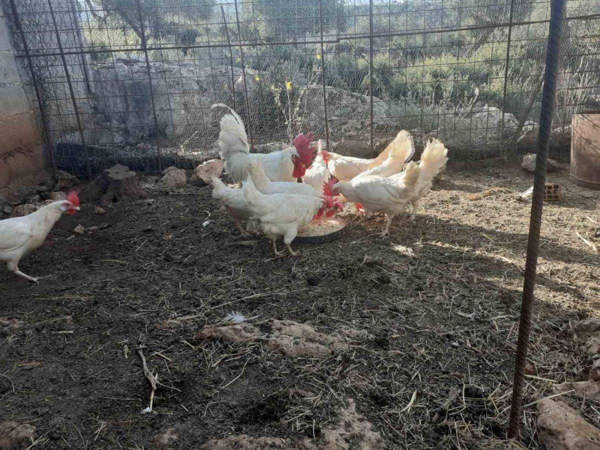 Appartamento Trisilio Kardhamili Esterno foto